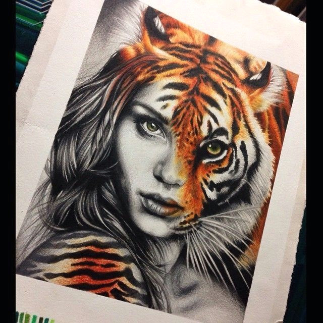 tiger drawing and art image