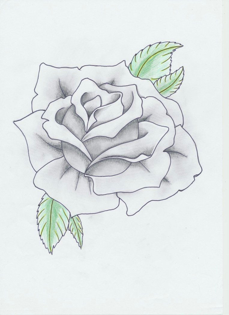 black and gray rose tattoo by helldemondavey on deviantart