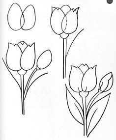 art techniques floral arrangements zentangle picasso watercolor sketches creative