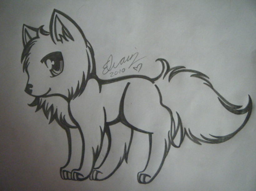 wolf drawing 1 by animefan1863 deviantart com on deviantart