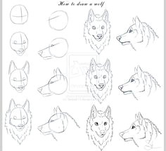 how to draw a wolf head wolves drawing