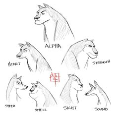 wolf pack sketch concept by luigil wolf sketch cartoon sketches cartoon illustrations animal