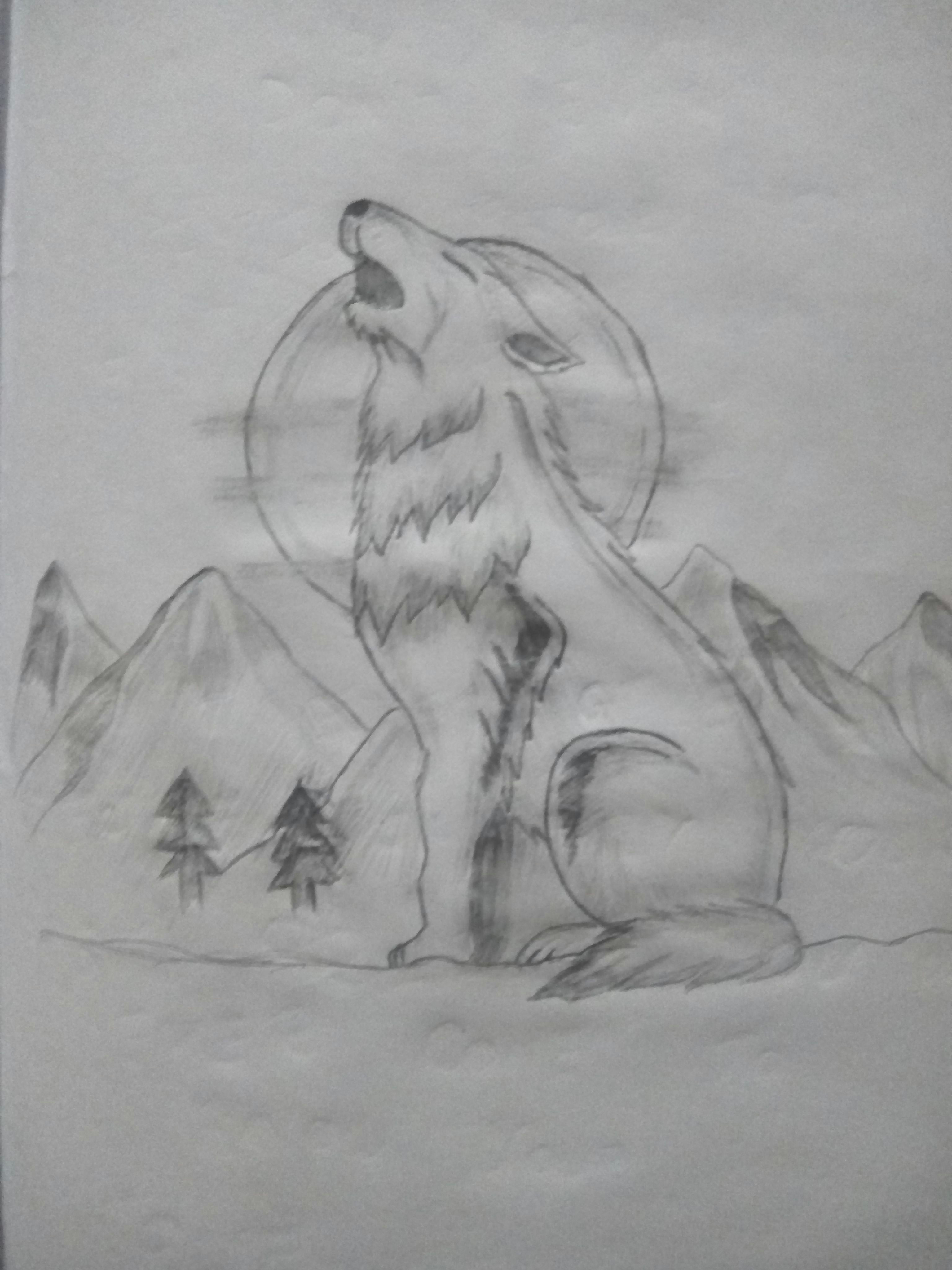 lone wolf lone wolf my drawings lonely one man wolf pack