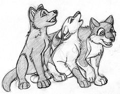 1000 images about lobos anime on pinterest a wolf wolf s rain