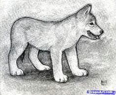how to draw realistic wolf pups how to draw a wolf puppy animal sketches