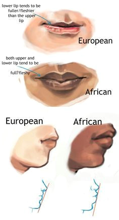 artistic reference for depicting typical racial physical characteristics focusing on the appearance of the lips of european and african races album on