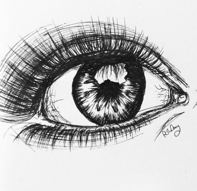 Drawing An Eye In Pen Pen Eye Life Draw Art Drawings Art