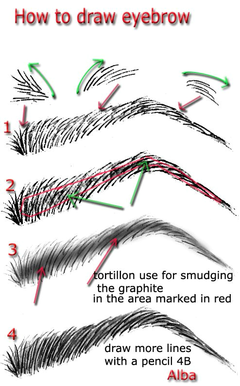 how to draw eyebrows