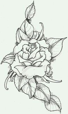 Drawing An Open Rose are You Looking for A Tutorial On How to Draw A Rose Look No