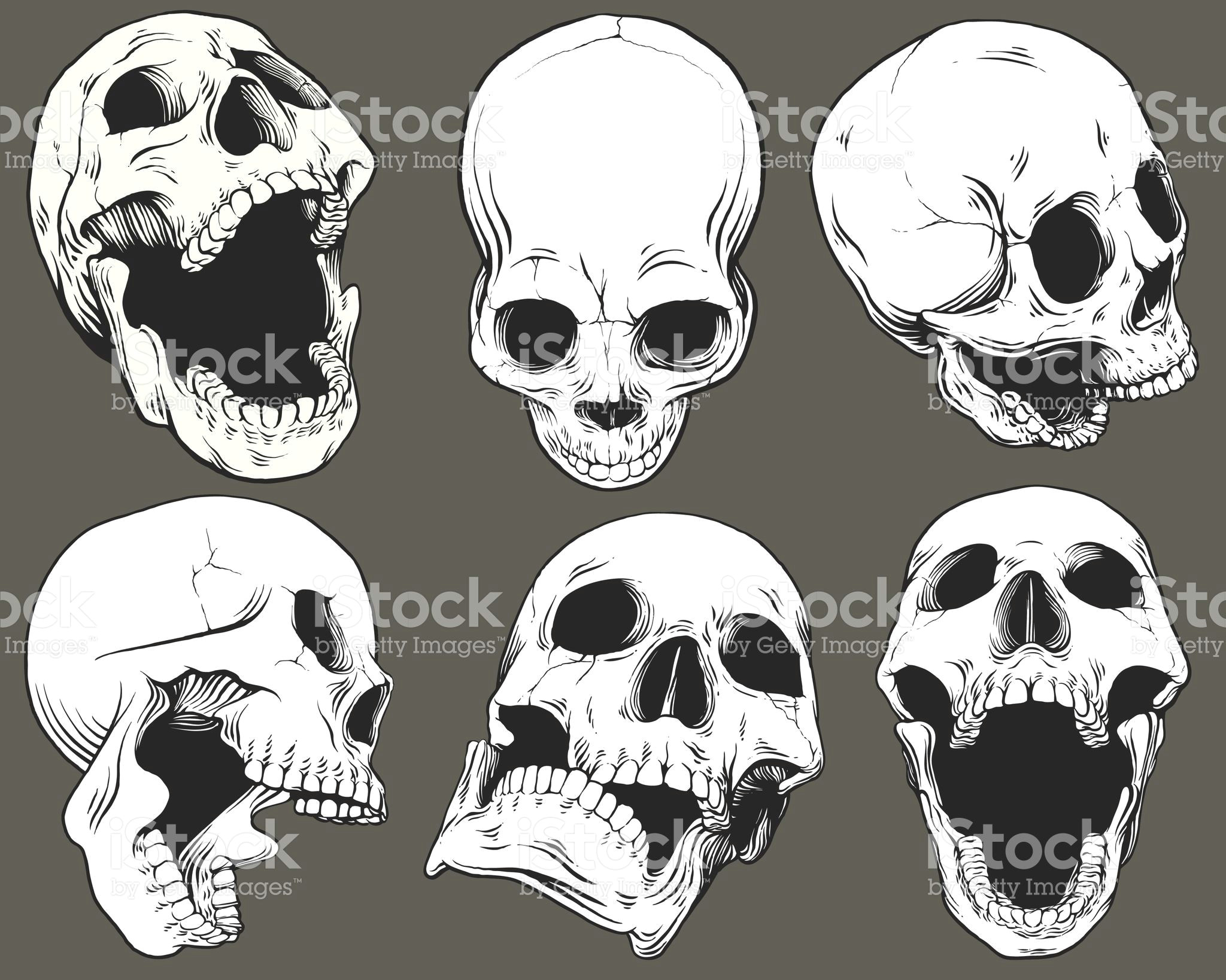 a a a a a a a a a a a a a a a a a a a a a a a aa a a a aa a a a c a a c ae skull reference anatomy reference