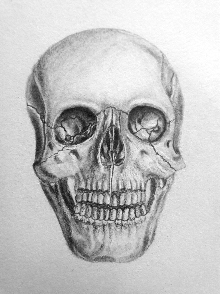 please give credit as this is my own drawing pinterest naomiokayyy skull drawing