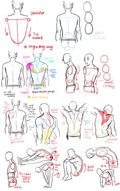 Drawing Anatomy Tumblr 79 Best Male Anatomy Reference Images Figure Drawing Body