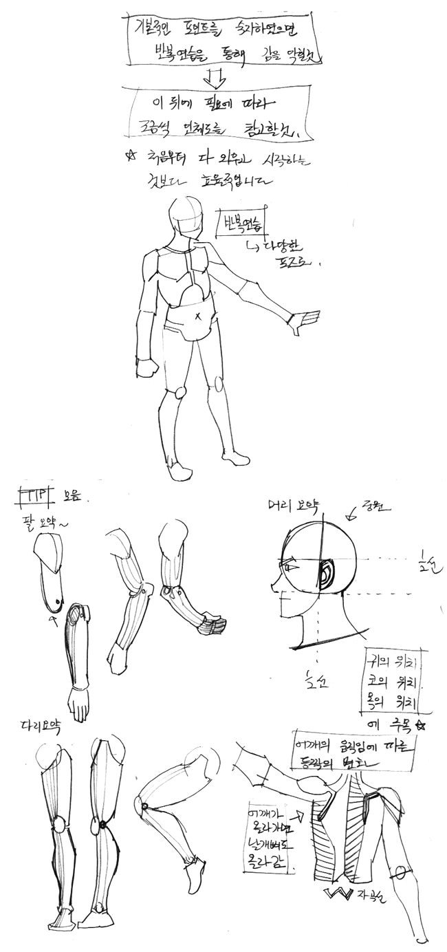 anatomy reference
