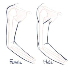 how to draw anime anatomy step 5 anatomy drawing how to draw anatomy manga