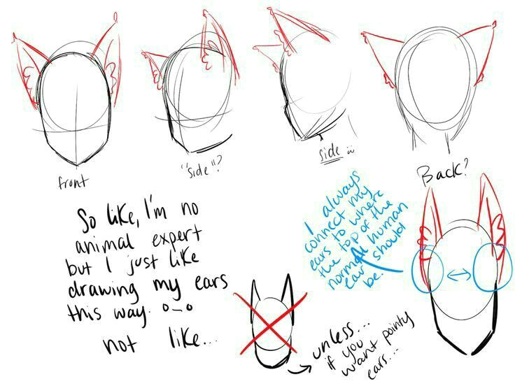 Drawing Anime Cat Ears Cat Ears Neko Text How to Draw Manga Anime How to Draw Manga