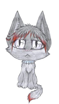 awesome grey and red cat