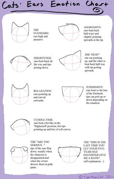 cats ears emotion chart by tigermooncat devi on deviantart cats ears emotion