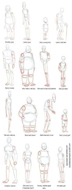 body shapes