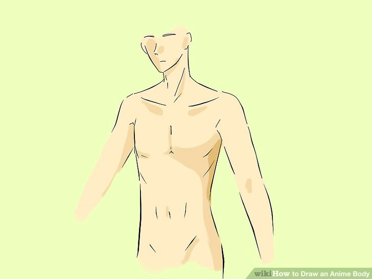 Drawing Anime Male Body How to Draw the Human Body Study Male Body ...