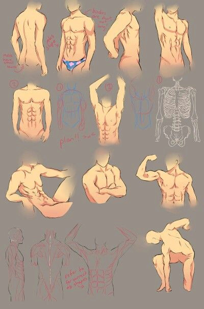 image result for muscled anime male characters body layout