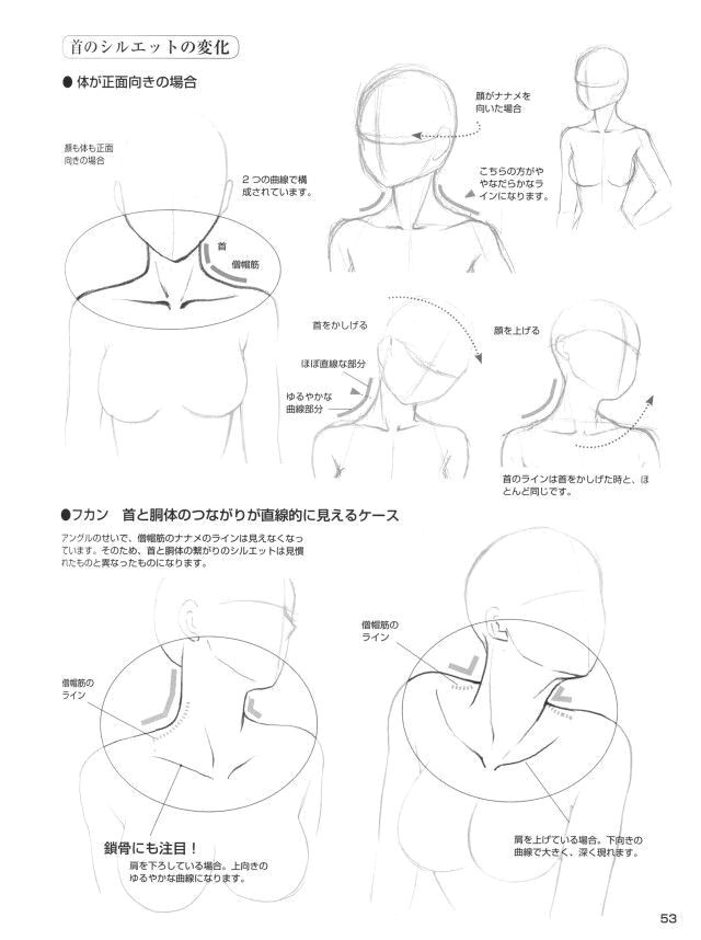 shoulders tutorial and movement how to draw necks how to draw bodies neck drawing