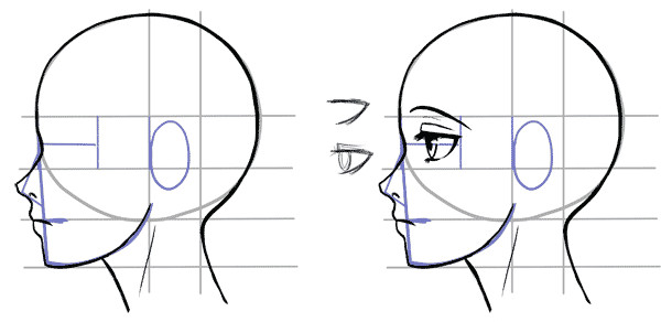 how to draw the side of a face