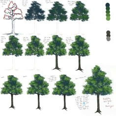 anime tree tutorial by liamsi4 on deviantart plant drawing coloring tutorial realistic