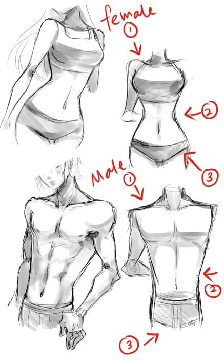 7 best drawing male bodies images manga drawing drawing techniques drawings