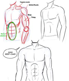 Drawing Anime Upper Body 7 Best Drawing Male Bodies Images Manga Drawing Drawing