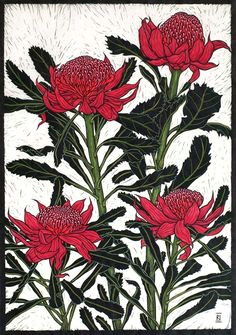 australian flowers linocuts rachel newling