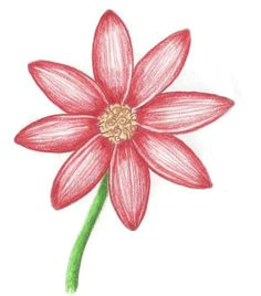 how to draw a daisy easy step by step instructions to draw a beautiful flower