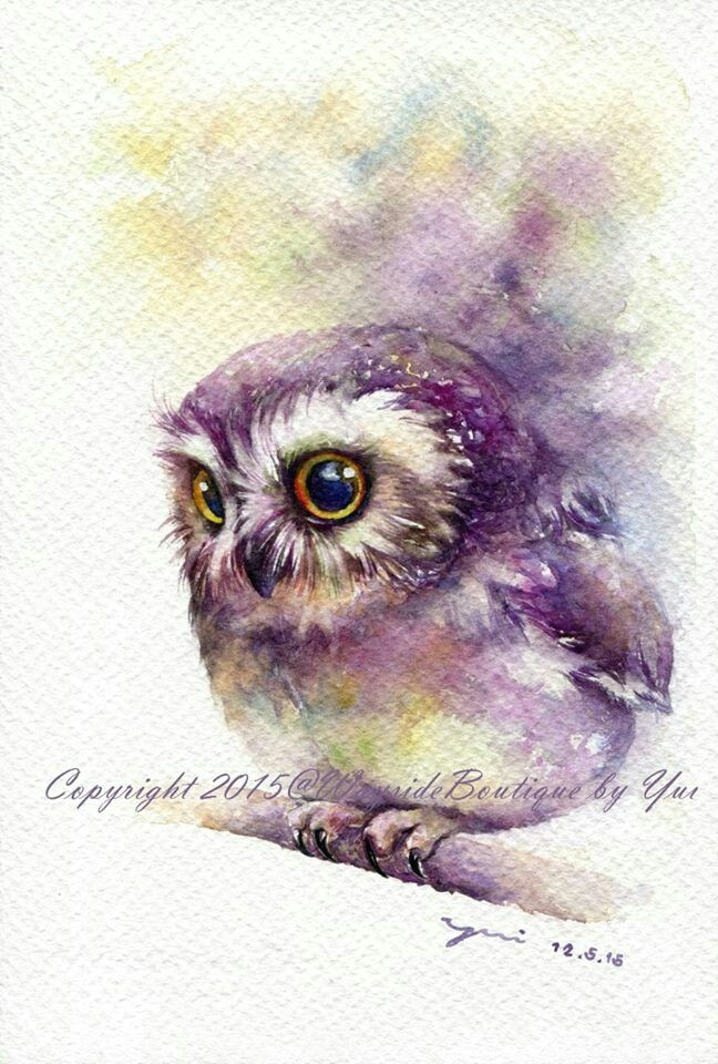 owl watercolour