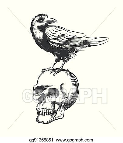 evil crow hand drawn vector illustration black raven devil on skull isolated white background