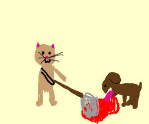 a cat and dog cleaning blood