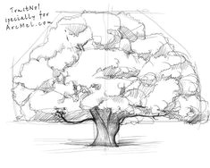 how to tree drawings pencil flower line drawings simple line drawings oak tree