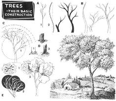 education art step 03 trees construction how to draw trees bark twigs leaves and foliage drawing tutorial