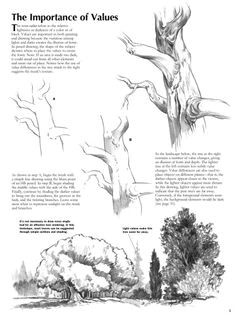 how to draw trees