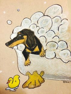 dachshund wiener dog in bathtub bathroom art drawing illustration loo sausage dog dapple dachshund wire