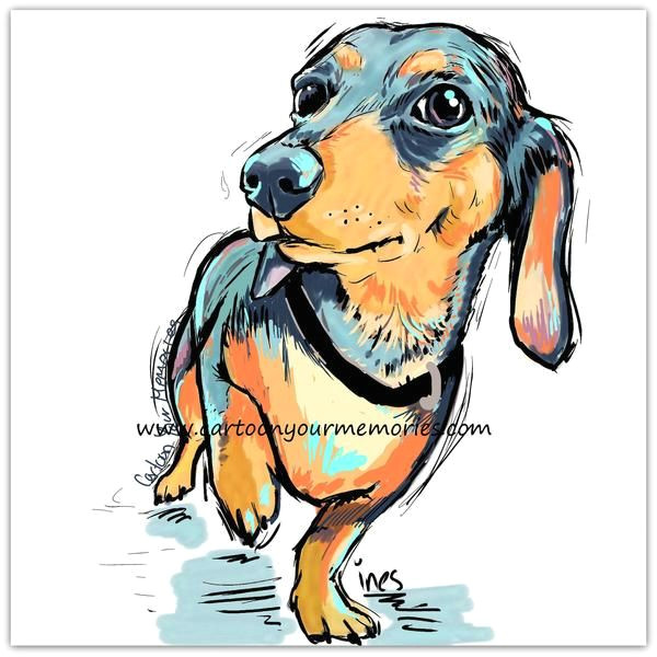 little dachshund cartoon your memories