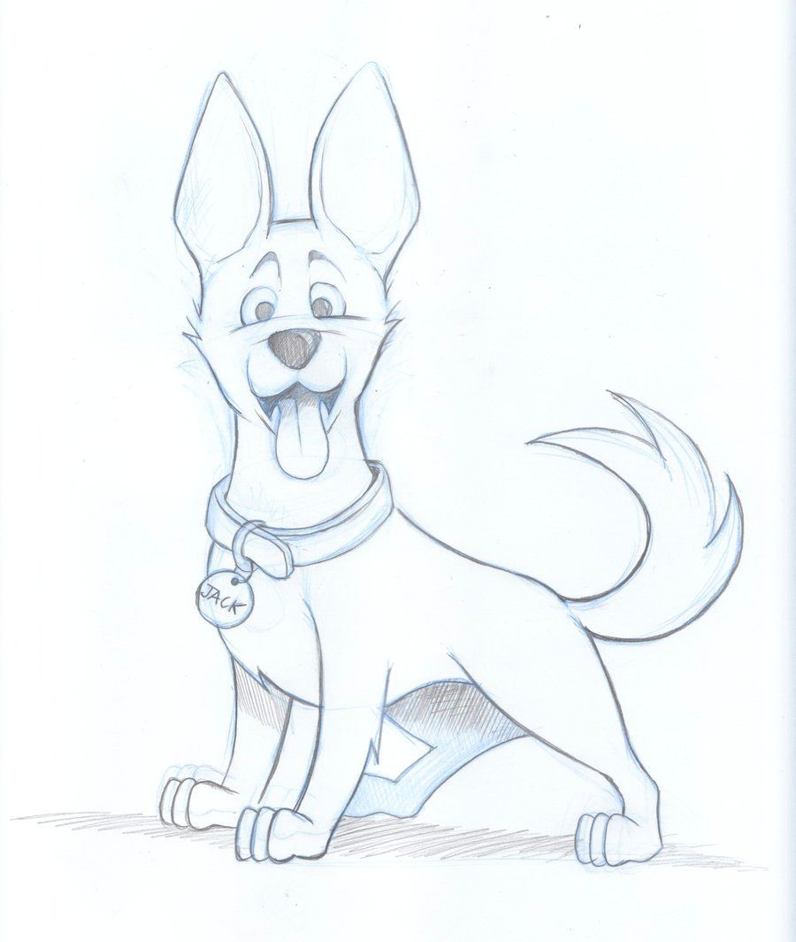 Drawing Cartoon Dog Eyes Drawings Of Dogs Kelpie Dog Sketch by Timmcfarlin On Deviantart