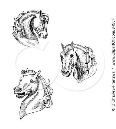 clipart illustration of a set of three black and white horse heads by c charley