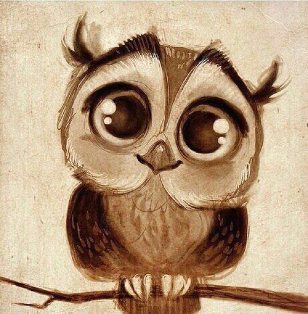 33 twitter owl drawings cartoon owl drawing cute owl drawing owl