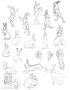 animal drawings animal sketches art drawings rabbit cartoon drawing bunny drawing