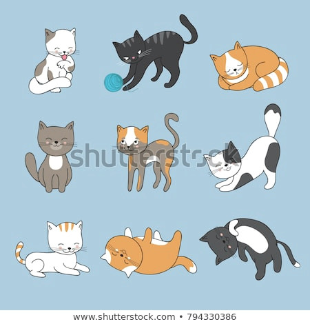 hand drawing cute cats vector kitty collection animal kitty od set cartoon cat