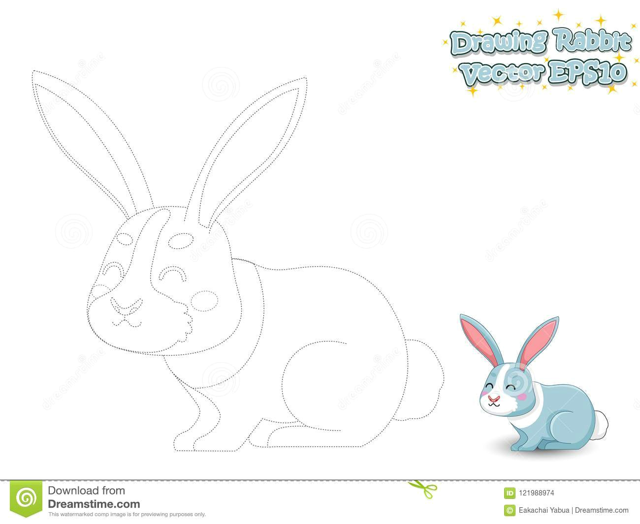 drawing and paint cute cartoon rabbit educational game for kids
