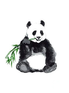 giant panda minimalist painting by joanna szmerdt bear art minimalist painting minimalist art