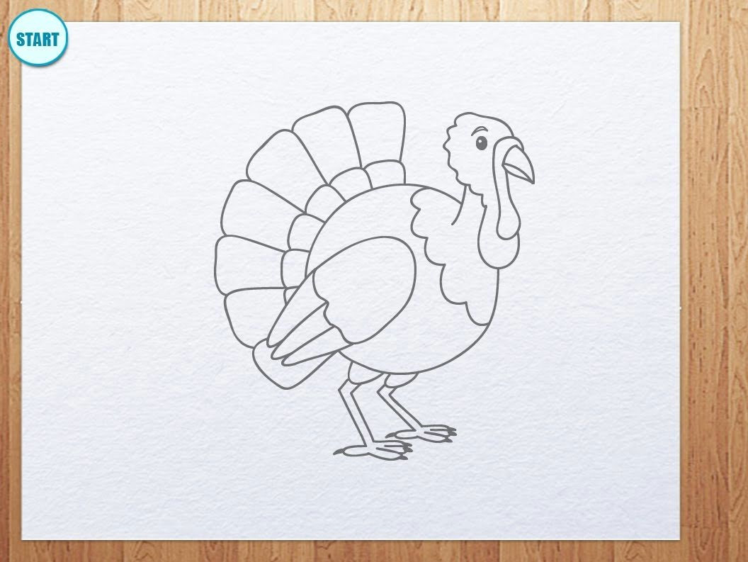 how to draw a cartoon turkey thanksgiving day