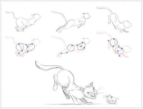 diy animal drawing tutorial for beginner
