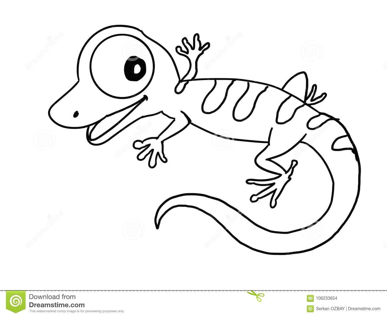 cute lizard illustration cartoon drawing drawing coloring and white background