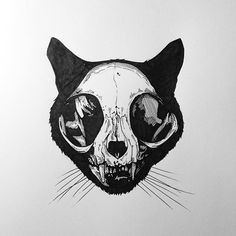 cat rotring drawing art cat skull ink tattoo